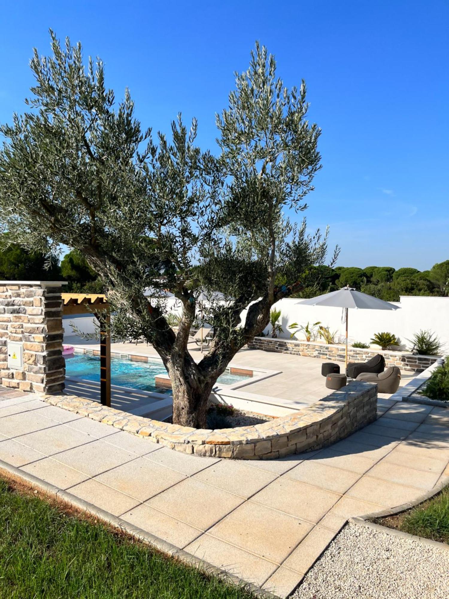 פאז'אנה Olivea Luxury Suites מראה חיצוני תמונה